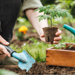 zin en betekenisgeving